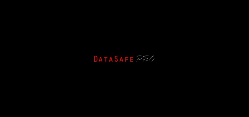 DataSafe PRO
