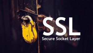 چگونه اتصال گواهی SSL‌ به سایت را بررسی کنیم؟