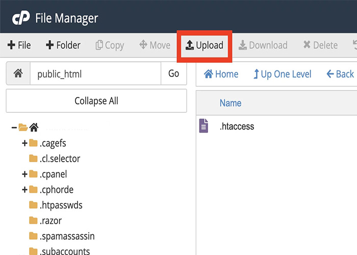 upload wordpress on cpanel