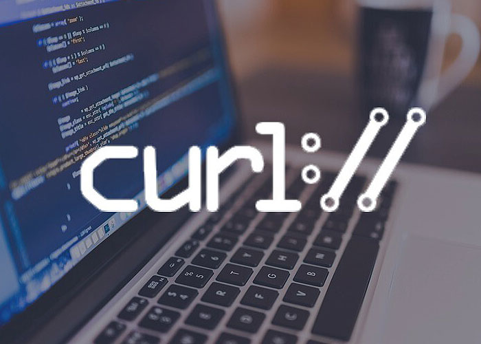 What is WordPress cURL