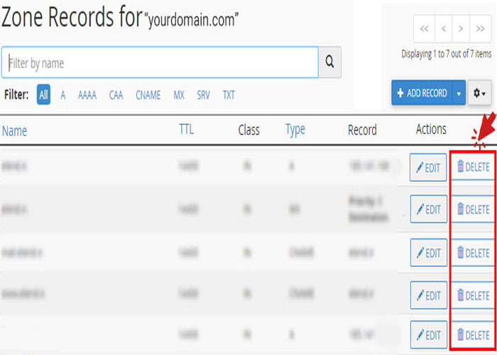 نحوه حذف رکوردهای dns در سی پنل