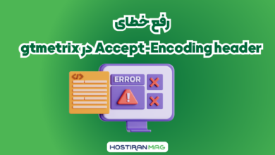 Accept-Encoding header