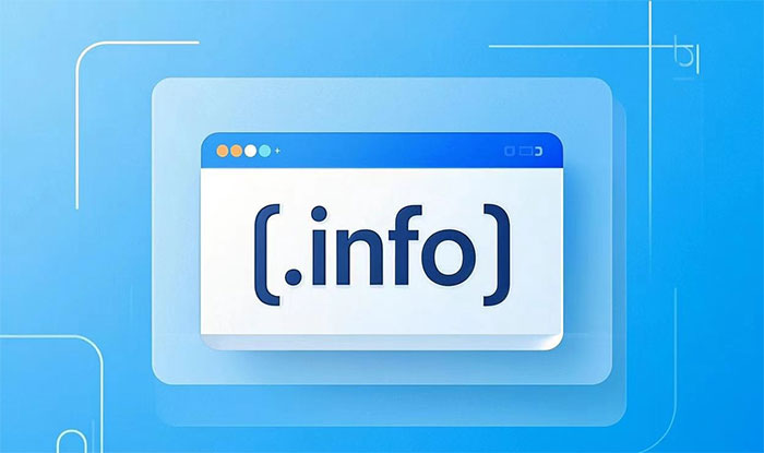 what-is-the-info-domain