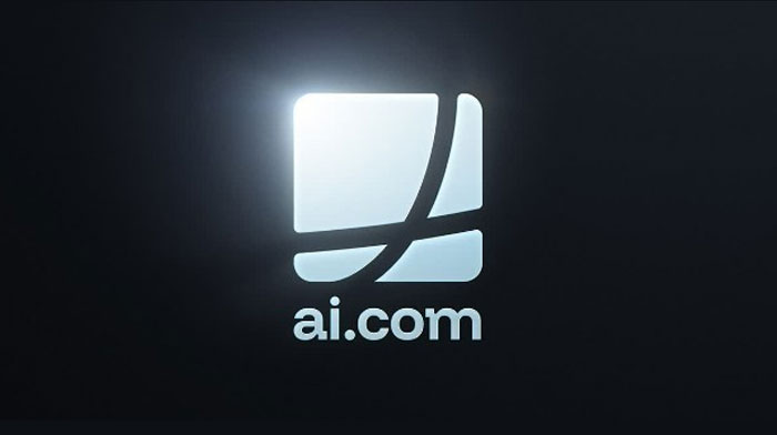 دامنه ai برای چه کسانی مناسب است