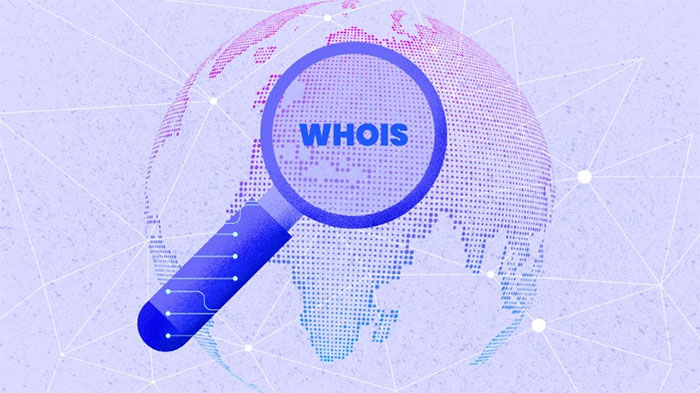 بررسی سابقه دامنه در whois